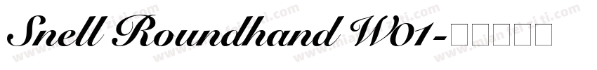 Snell Roundhand W01字体转换